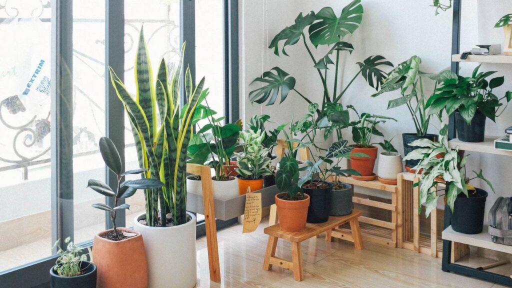 Create Better Airflow and Ventilation
