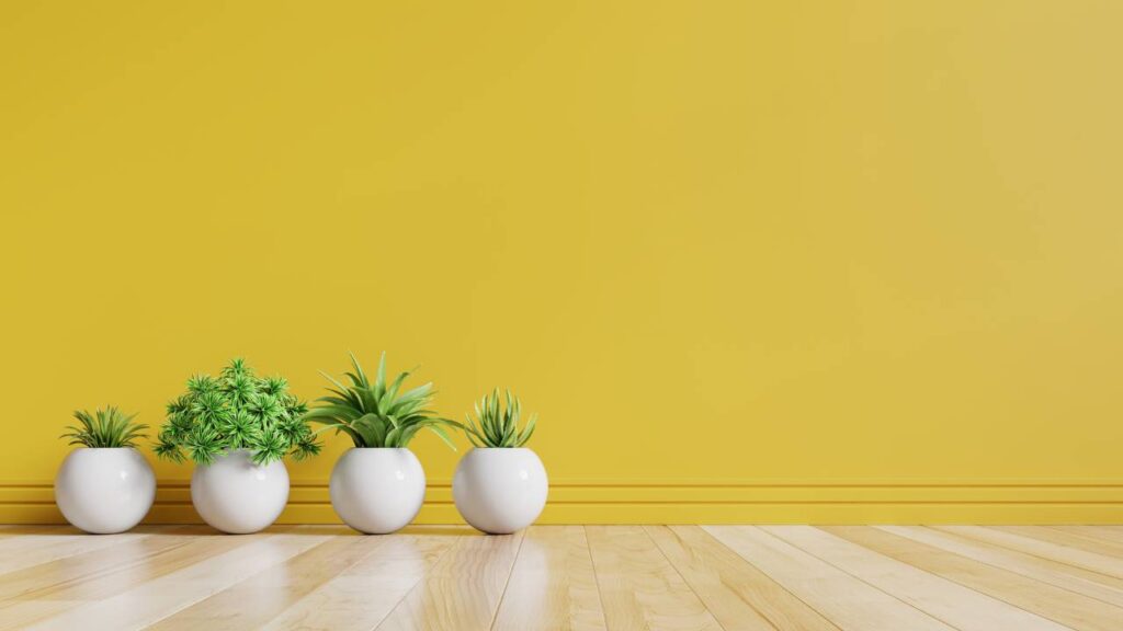 Decorate With Plants